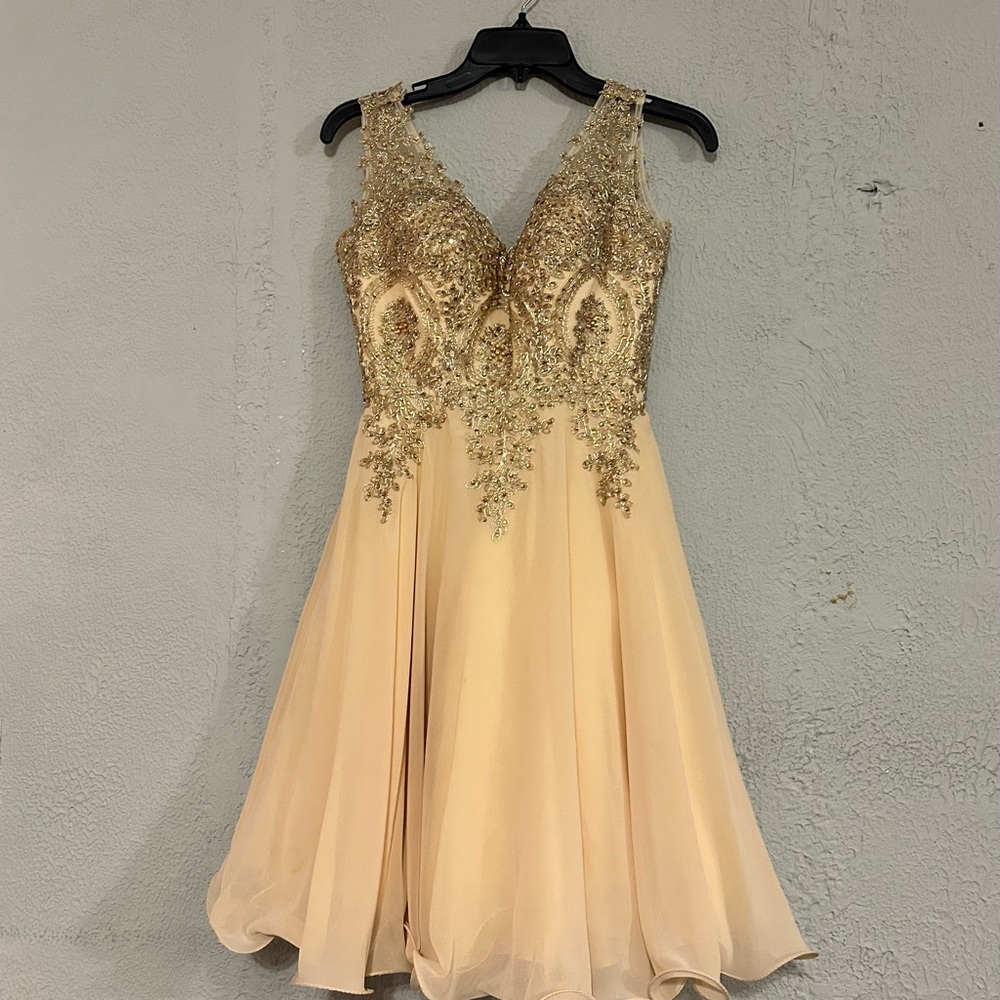 May Queen medium Gold embroidered chiffon midi dress.